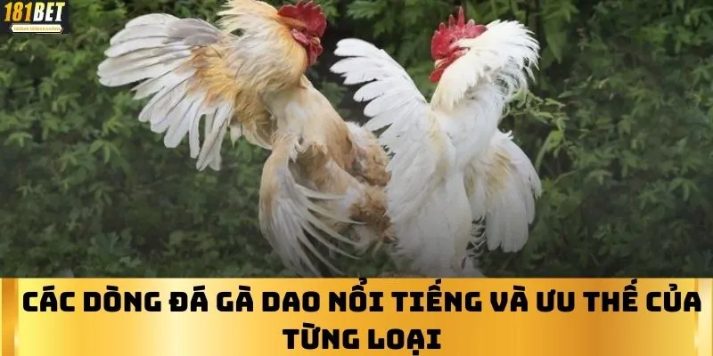 Các dòng Đá gà Dao nổi tiếng và ưu thế của từng loại