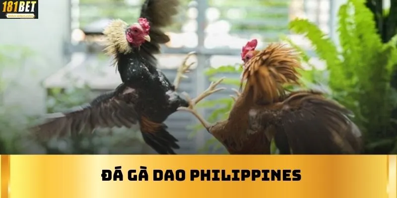 Đá gà Dao philippines