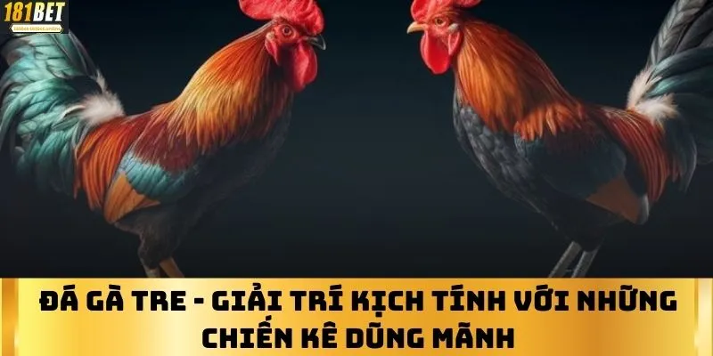 Đá Gà Tre - Giải Trí Kịch Tính Với Những Chiến Kê Dũng Mãnh