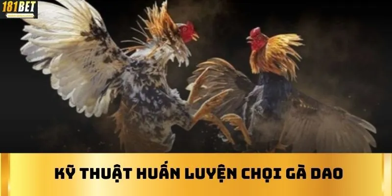 Kỹ thuật huấn luyện chọi gà dao