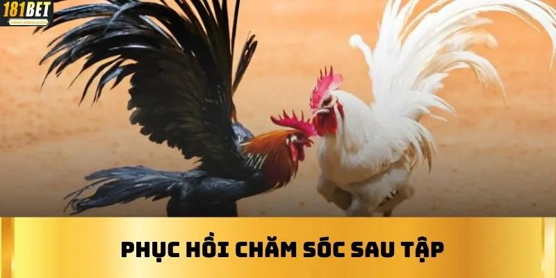 Phục hồi chăm sóc sau tập